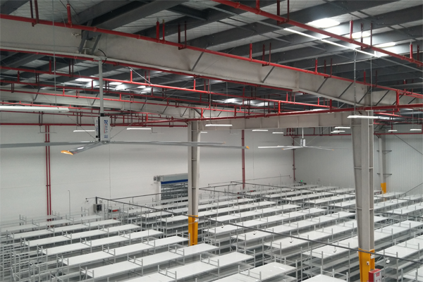 不要錯過揭陽工業大型吊扇廠家 瑞泰風用經驗說話